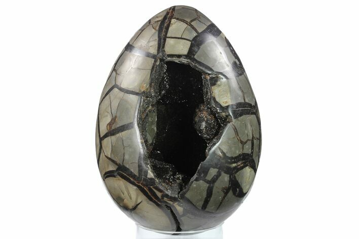 Septarian Dragon Egg Geode - Black Crystals #134638